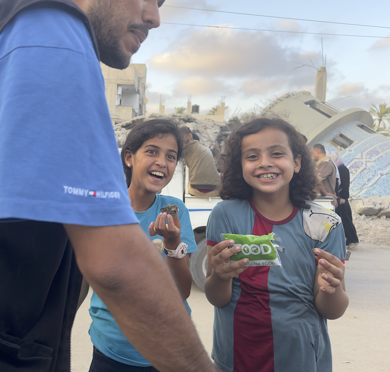 Gaza 3.png