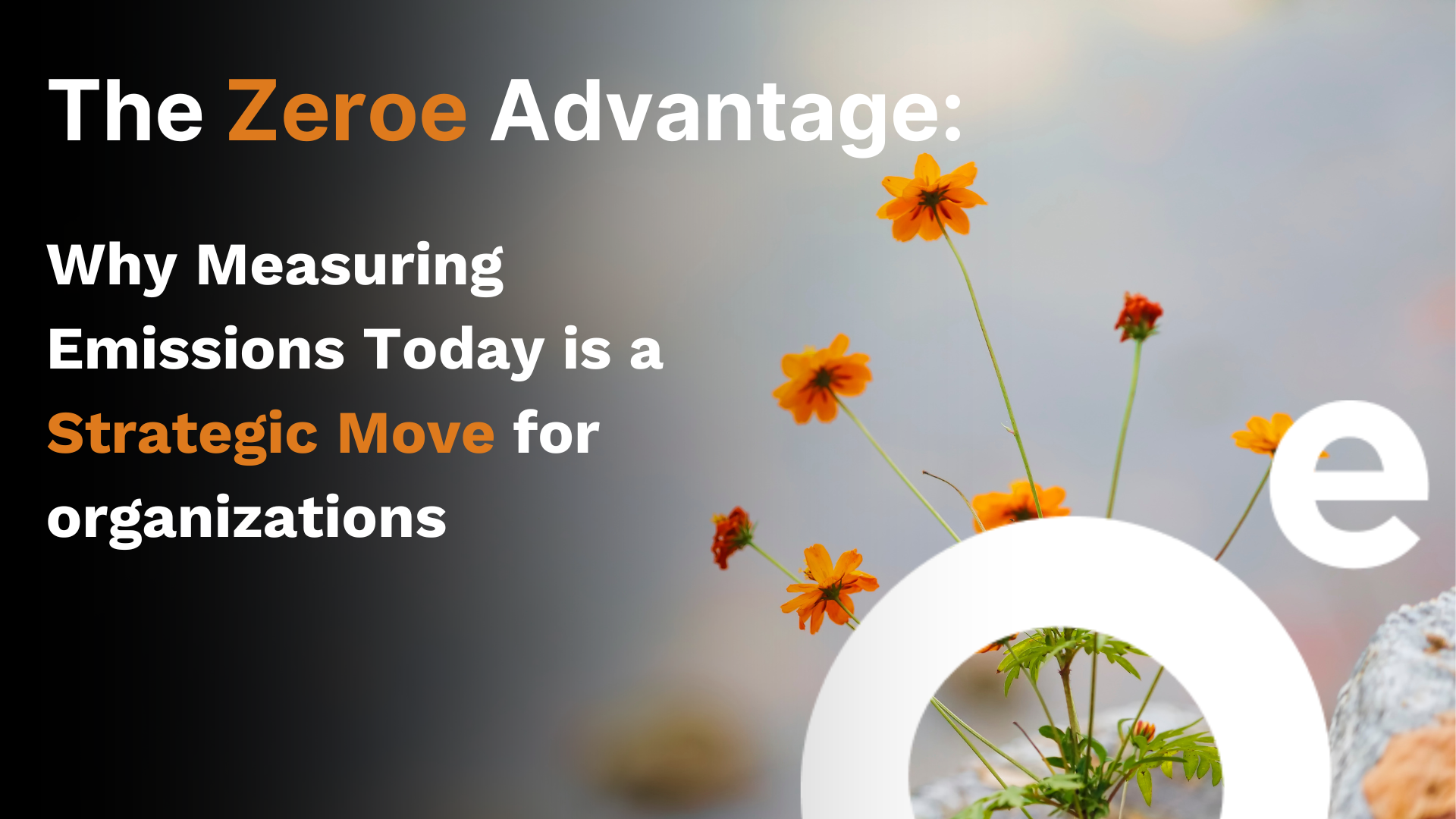 Zeroe advantage.png